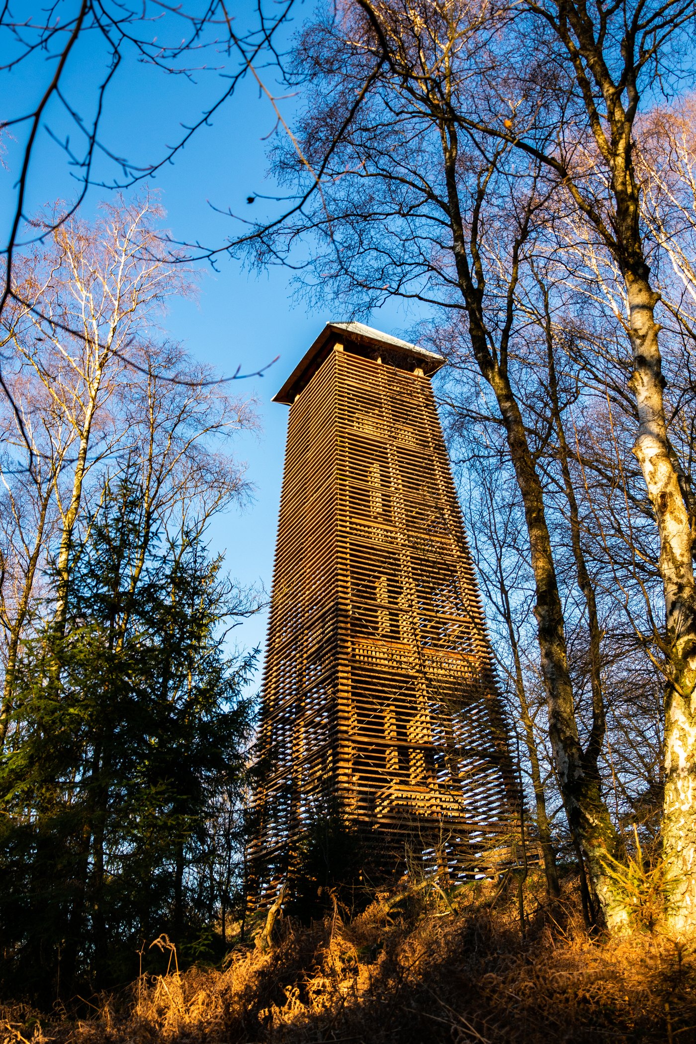 Uitkijktoren Hulzenberg in het Bergherbos