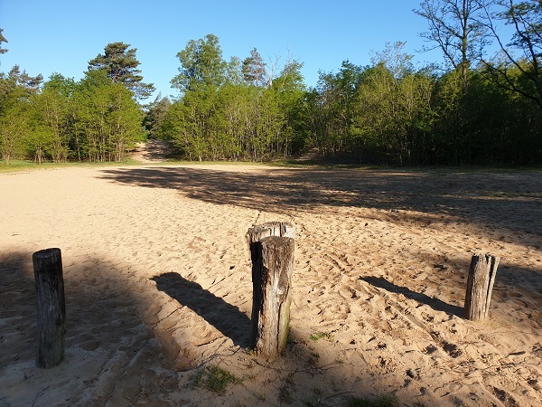 Zandvlakte in het Bergherbos